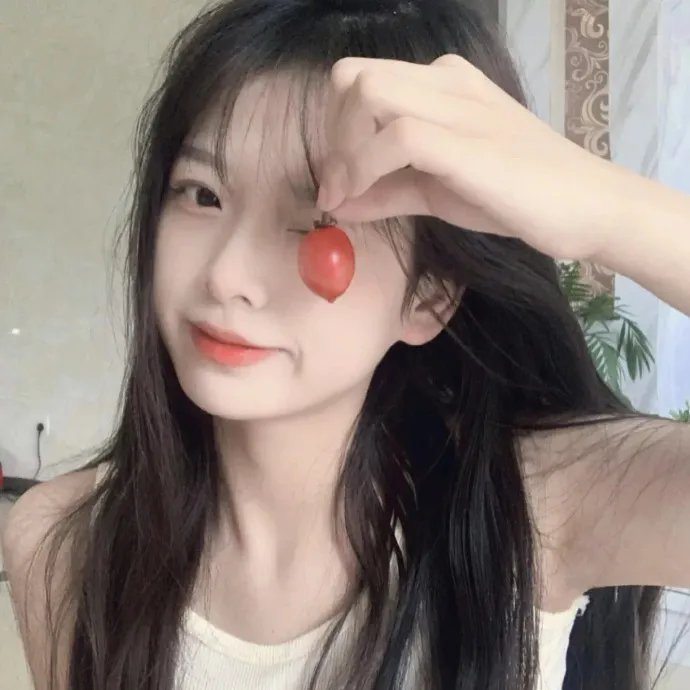 美国之子